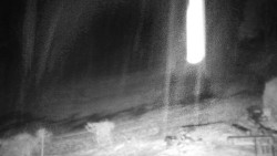 Běžecký lyžařský areál Nová Ves