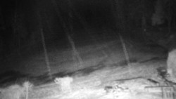 Běžecký lyžařský areál Nová Ves