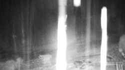 Běžecký lyžařský areál Nová Ves