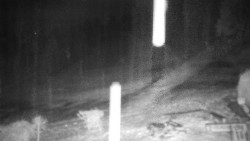 Běžecký lyžařský areál Nová Ves