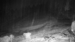 Běžecký lyžařský areál Nová Ves