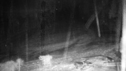 Běžecký lyžařský areál Nová Ves