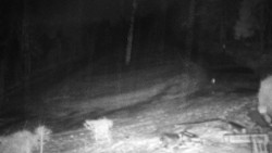 Běžecký lyžařský areál Nová Ves