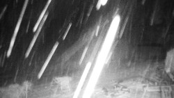 Běžecký lyžařský areál Nová Ves