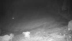 Běžecký lyžařský areál Nová Ves