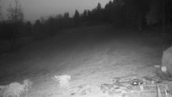 Běžecký lyžařský areál Nová Ves