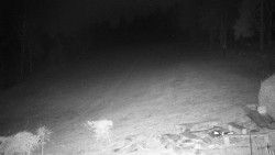 Běžecký lyžařský areál Nová Ves