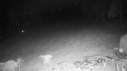 Běžecký lyžařský areál Nová Ves