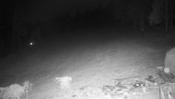 Běžecký lyžařský areál Nová Ves