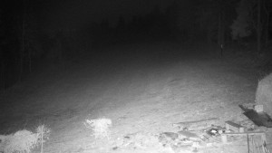 Chata Myslivna SKP Olomouc - Běžecký lyžařský areál Nová Ves - 10.3.2026 v 22:00 Chata Myslivna SKP Olomouc - Běžecký lyžařský areál Nová Ves - 10.3.2026 v 22:00