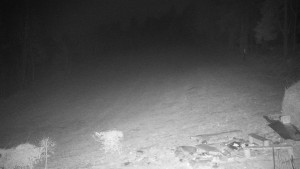 Chata Myslivna SKP Olomouc - Běžecký lyžařský areál Nová Ves - 10.3.2026 v 23:00 Chata Myslivna SKP Olomouc - Běžecký lyžařský areál Nová Ves - 10.3.2026 v 23:00