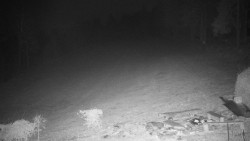 Běžecký lyžařský areál Nová Ves