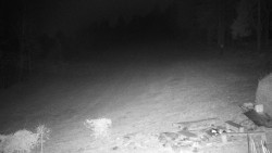 Běžecký lyžařský areál Nová Ves