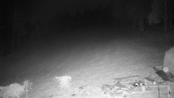 Běžecký lyžařský areál Nová Ves