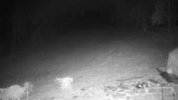 Běžecký lyžařský areál Nová Ves