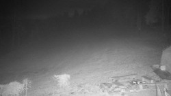 Běžecký lyžařský areál Nová Ves