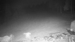 Běžecký lyžařský areál Nová Ves