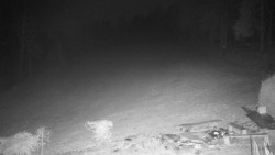 Běžecký lyžařský areál Nová Ves