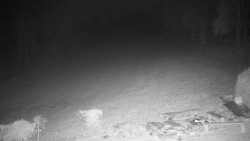 Běžecký lyžařský areál Nová Ves