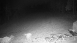 Běžecký lyžařský areál Nová Ves