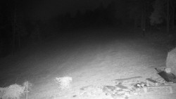 Běžecký lyžařský areál Nová Ves