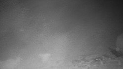 Běžecký lyžařský areál Nová Ves