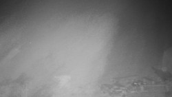 Běžecký lyžařský areál Nová Ves