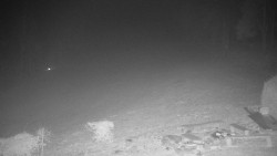 Běžecký lyžařský areál Nová Ves