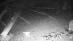 Běžecký lyžařský areál Nová Ves