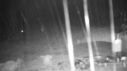 Běžecký lyžařský areál Nová Ves