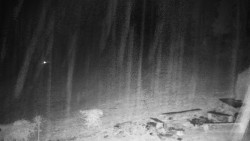 Běžecký lyžařský areál Nová Ves