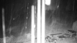 Běžecký lyžařský areál Nová Ves