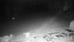 Běžecký lyžařský areál Nová Ves