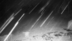 Běžecký lyžařský areál Nová Ves