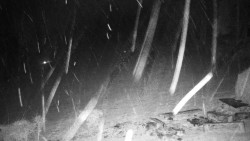 Běžecký lyžařský areál Nová Ves