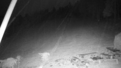 Běžecký lyžařský areál Nová Ves