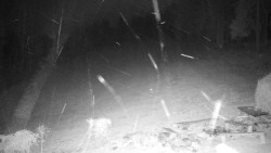 Běžecký lyžařský areál Nová Ves