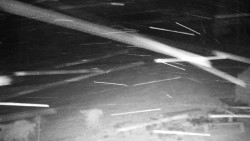 Běžecký lyžařský areál Nová Ves