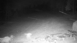 Běžecký lyžařský areál Nová Ves