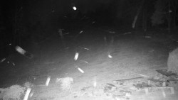 Běžecký lyžařský areál Nová Ves