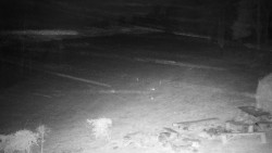 Běžecký lyžařský areál Nová Ves