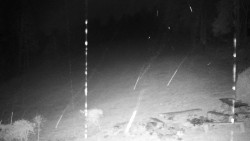 Běžecký lyžařský areál Nová Ves