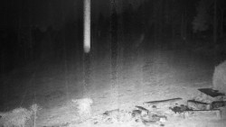 Běžecký lyžařský areál Nová Ves