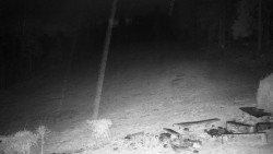 Běžecký lyžařský areál Nová Ves