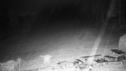 Běžecký lyžařský areál Nová Ves