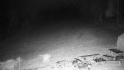 Běžecký lyžařský areál Nová Ves