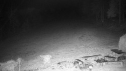 Běžecký lyžařský areál Nová Ves