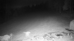 Běžecký lyžařský areál Nová Ves