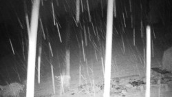 Běžecký lyžařský areál Nová Ves