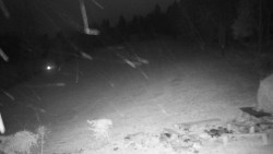 Běžecký lyžařský areál Nová Ves